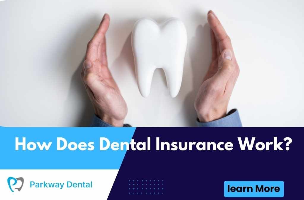 How Does Dental Insurance Work?