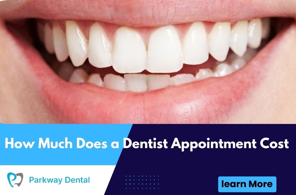 How Much Does a Dentist Appointment Cost